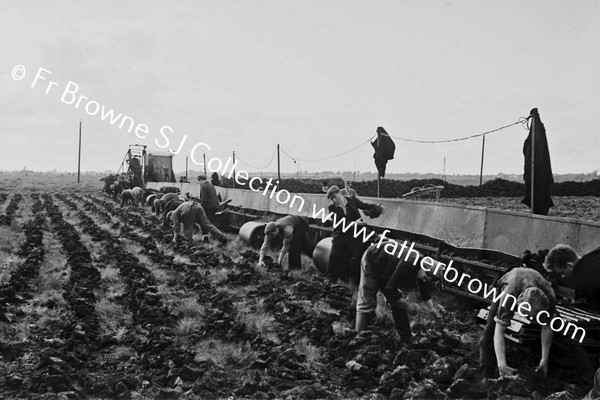 CLONSAST WINNING PEAT (TURF) BY MACHINE